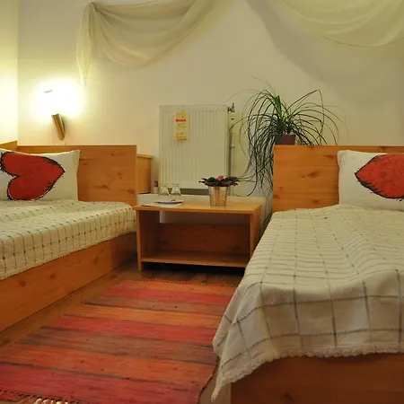 Vendégház Bistro-pension La Teleferic 3*