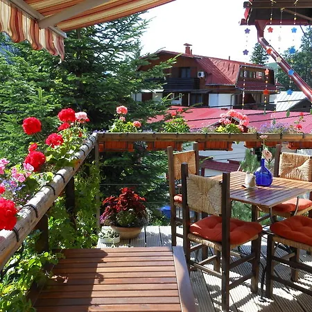 Vendégház Bistro-pension La Teleferic 3*